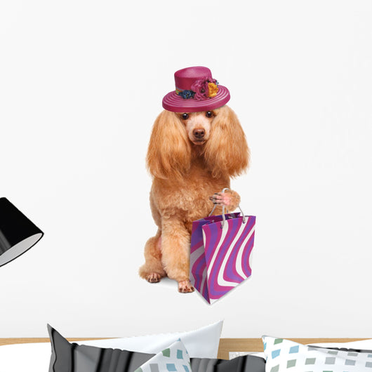 Funny Dog With Shopping Bags 