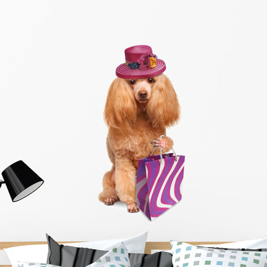 Funny Dog With Shopping Bags 