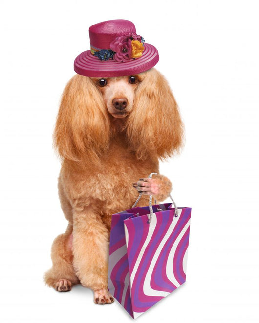 Funny Dog With Shopping Bags 