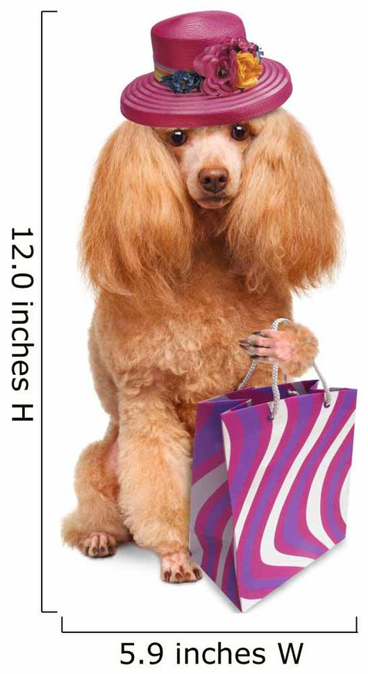 Funny Dog With Shopping Bags 