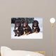 three black puppies of Tibetan mastiff Wall Mural