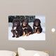 three black puppies of Tibetan mastiff Wall Mural