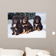 three black puppies of Tibetan mastiff Wall Mural