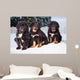 three black puppies of Tibetan mastiff Wall Mural