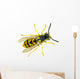 European paper wasp Vespula germanica Wall Mural