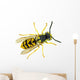 European paper wasp Vespula germanica Wall Mural