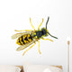 European paper wasp Vespula germanica Wall Mural