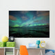 Northern Lights Above a Beach in Norway Wall Mural