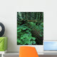 Ferns And Bushes On Forest Floor Wall Mural