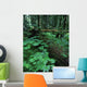 Ferns And Bushes On Forest Floor Wall Mural