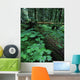 Ferns And Bushes On Forest Floor Wall Mural