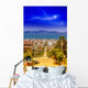 San Francisco skyline view from the hills Wall Mural