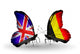 Two Butterflies with Flags Uk and Belgium Wall Decal