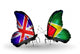 Two Butterflies with Flags Uk and Guyana Wall Decal