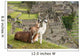 Llama at Machu Picchu, Peru. 
