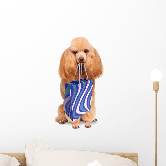 Funny Dog with Shopping Bags 