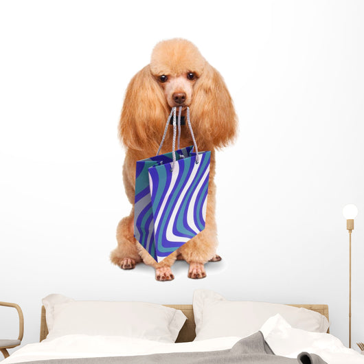 Funny Dog with Shopping Bags 