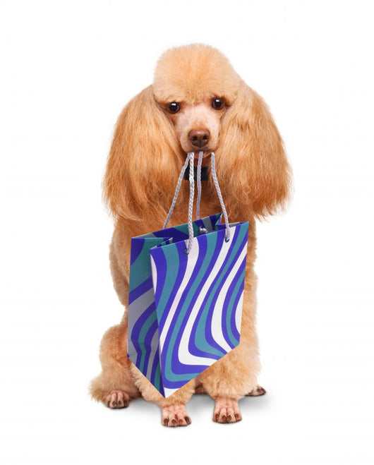 Funny Dog with Shopping Bags 