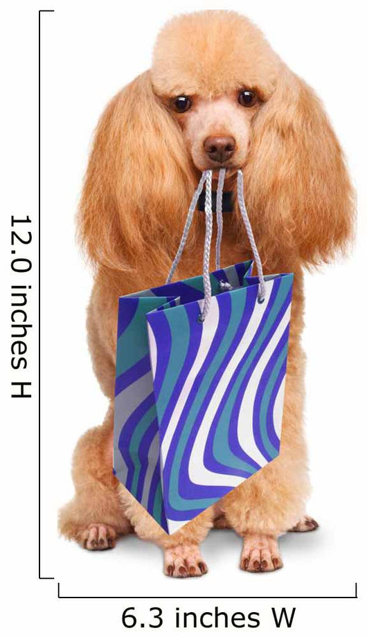 Funny Dog with Shopping Bags 