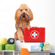 First Aid Dog Wall Decal
