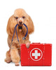 First Aid Dog Wall Decal