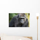 Gorilla PortÃ¤t Wall Mural