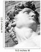 David by Michelangelo in Florence 