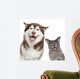 Happy pets on white background 
