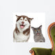 Happy pets on white background 