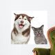 Happy pets on white background 