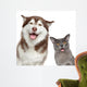 Happy pets on white background 