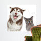 Happy pets on white background 