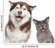 Happy pets on white background 
