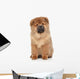 Brown Chow Chow Puppy Wall Decal