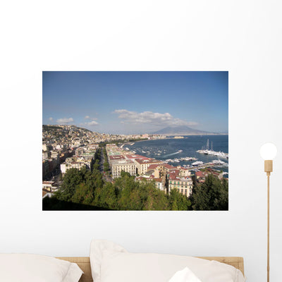 Naples Wall Mural shown on a wall