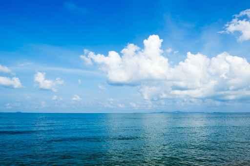Blue Sea Wall Decal