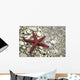 Starfish Beach Croatia Wall Decal