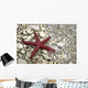 Starfish Beach Croatia Wall Decal