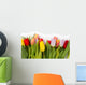 Tulip bouquet Wall Decal