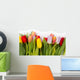 Tulip bouquet Wall Decal