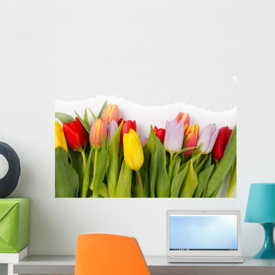 Tulip Bouquet Wall Decal shown on a wall