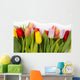 Tulip bouquet Wall Decal