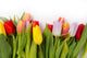 Tulip bouquet Wall Decal