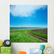 green field and road under cloudy sky in evening 