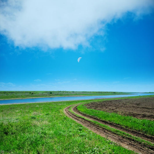 green field and road under cloudy sky in evening 