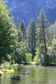 Merced River Yosemite Wall Decal
