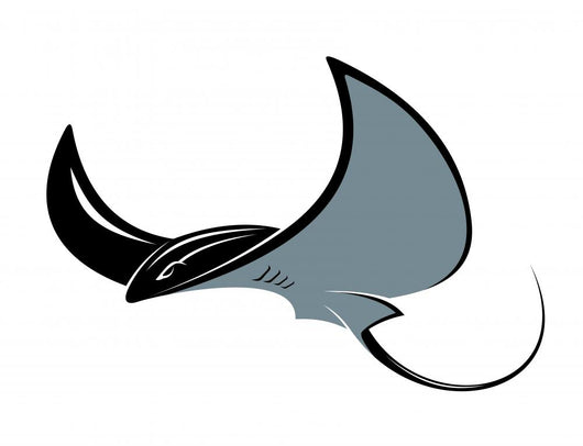 Swimming Manta Ray 