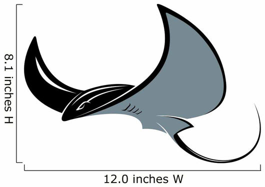 Swimming Manta Ray 