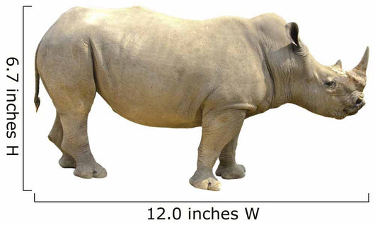 White Rhino Wall Decal