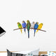 budgie 